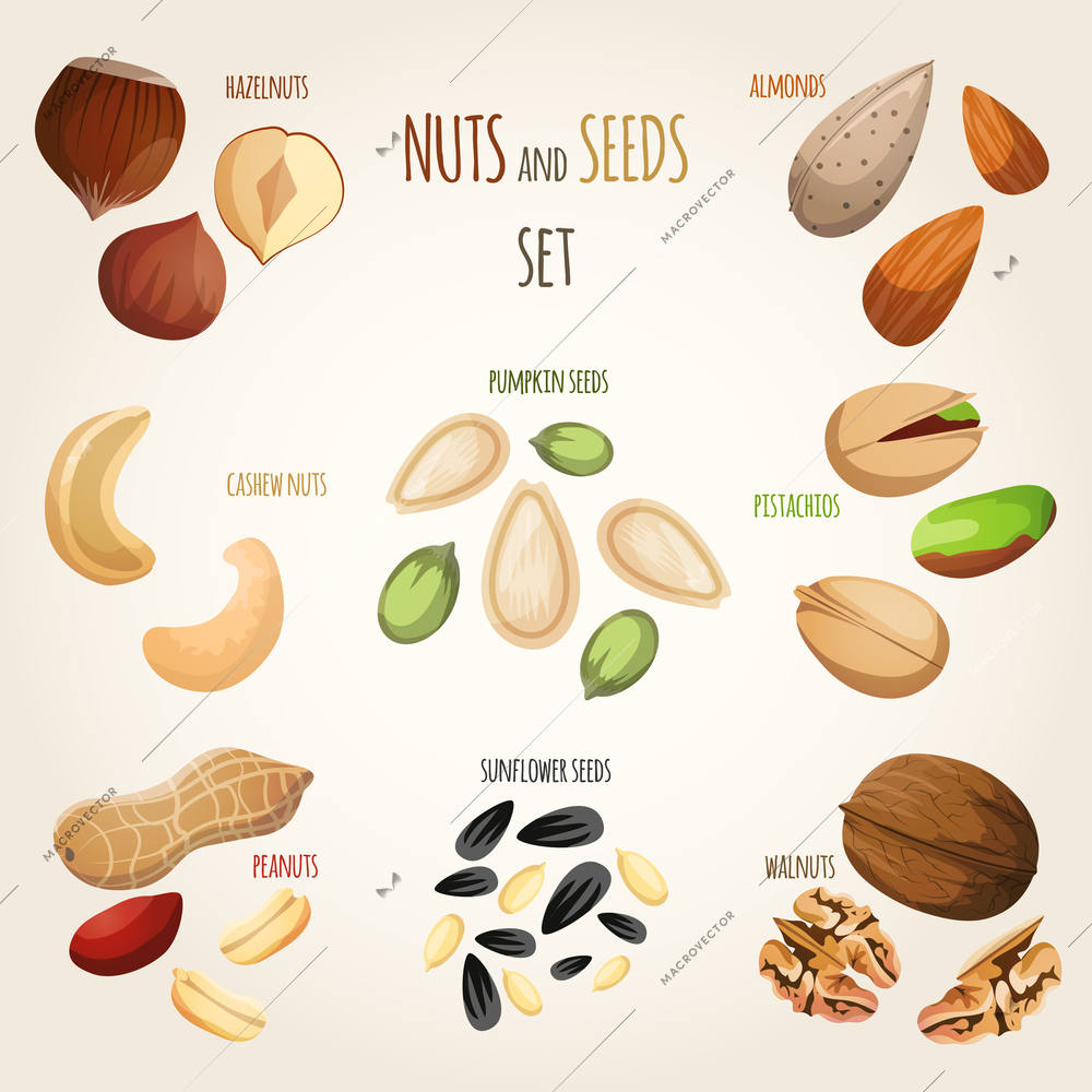 Nuts and seeds mix decorative elements set vector illustration