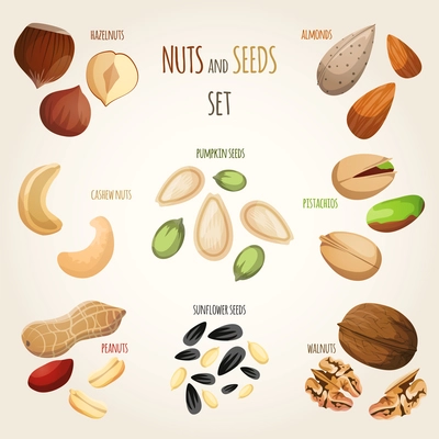 Nuts and seeds mix decorative elements set vector illustration