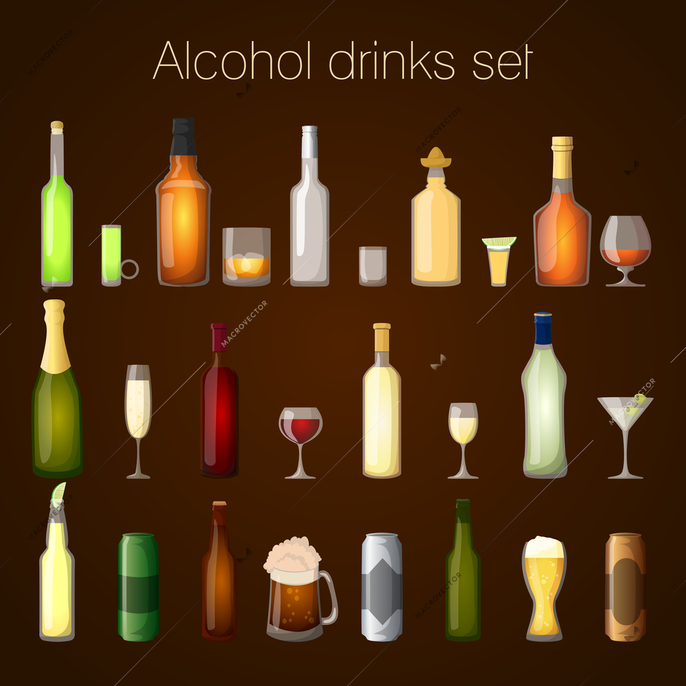 Alcohol drinks bottles and glass set of wine beer champagne martini isolated vector illustration