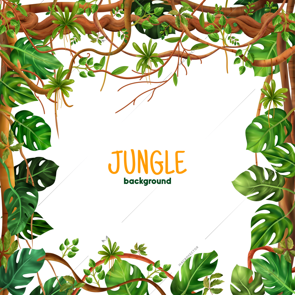 Decorative tropical rianforest climbing  liana square frame with jungle creeping  vine plants leaves realistic background vector illustration