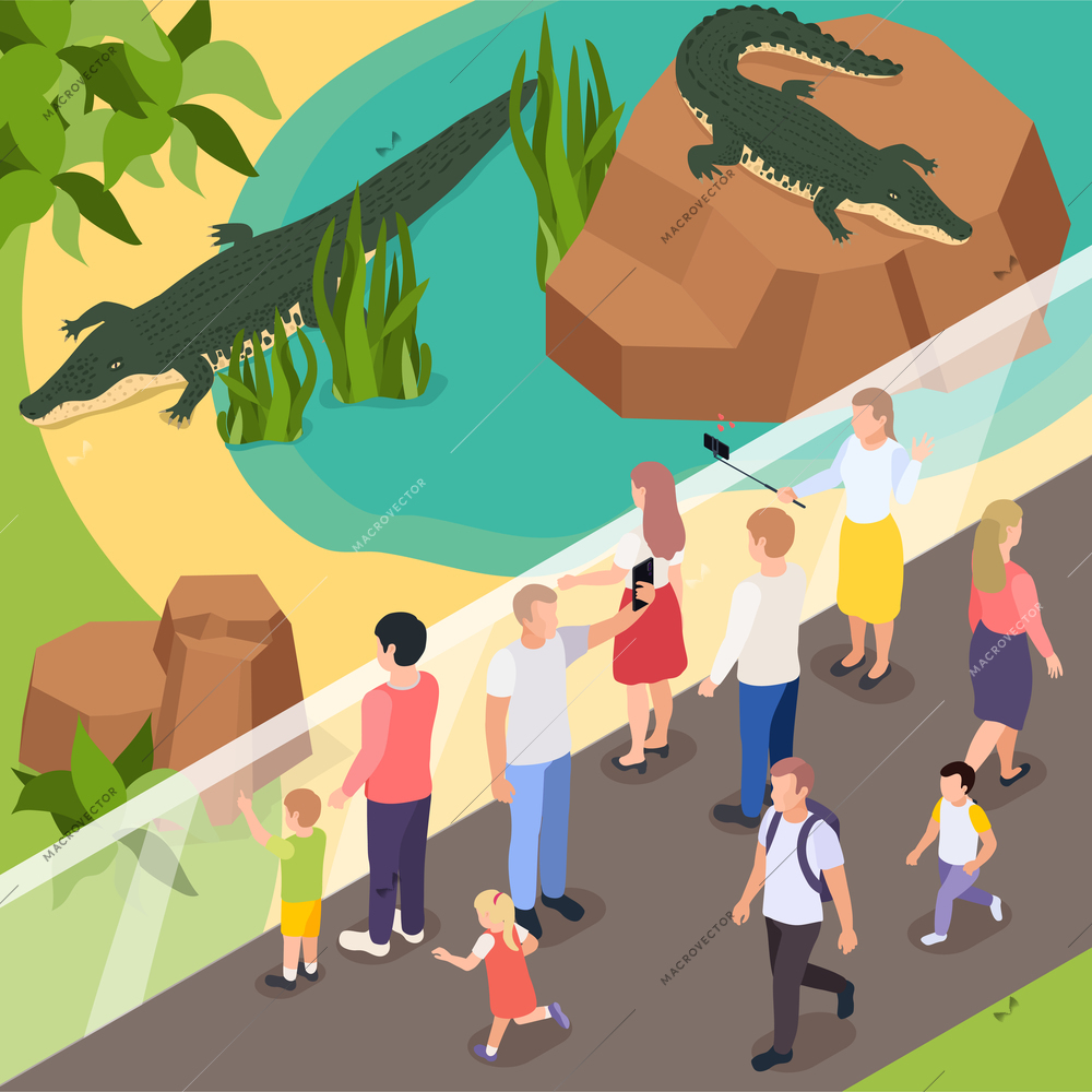 Exotic animals in zoo isometric composition with visitors making selfie with two crocodiles in pond vector illustration