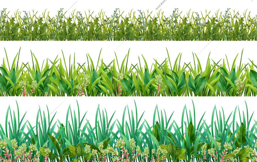 Realistic grass shades of green leaves foliage plants 3 horizontal decorative seamless patterns set isolated vector illustration