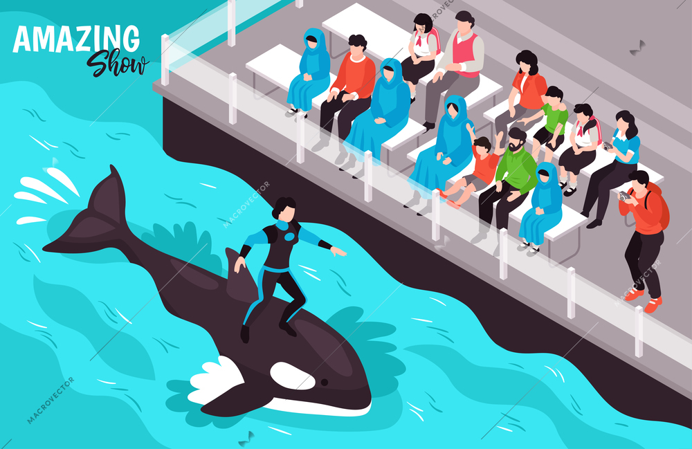 Amazing show in dolphinarium isometric background with female animal trainer standing on swimming orca vector illustration