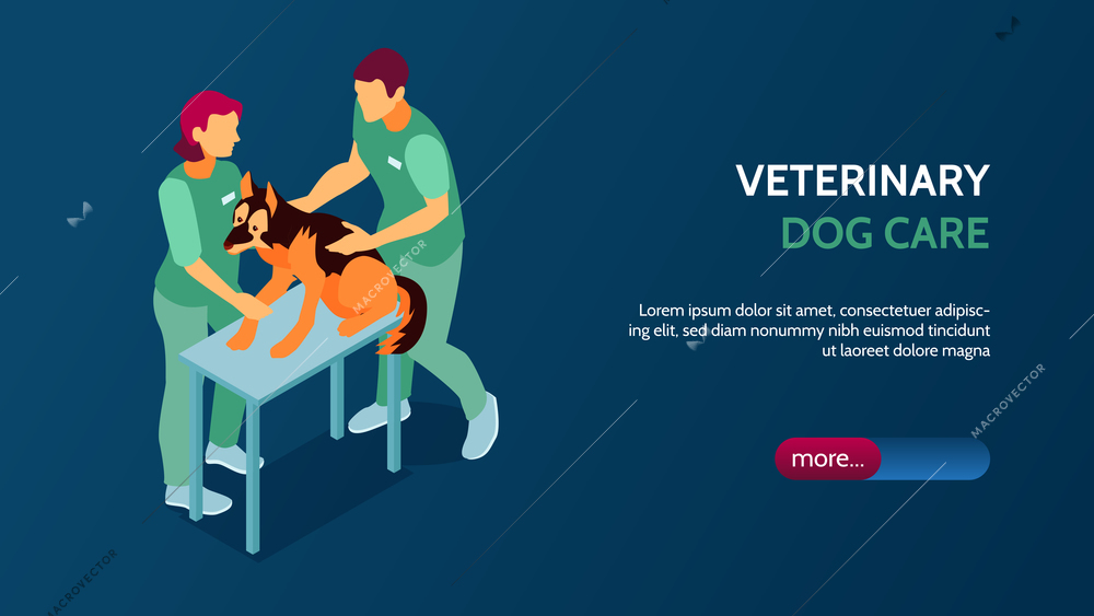 Veterinary clinic isometric horizontal banner with two vets examining dog 3d vector illustration