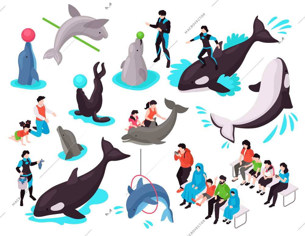 Show in dolphinarium isometric set with adult and child characters looking at seal dolphin orca performing exercises isolated vector illustration