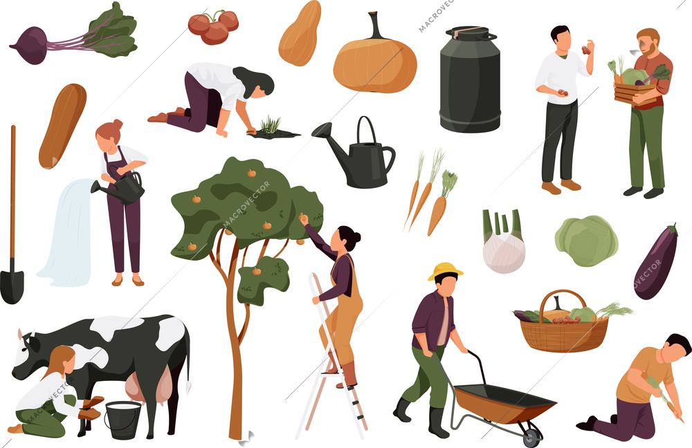 Organic farm flat recolor set with isolated fruit icons images of plants with faceless human characters vector illustration