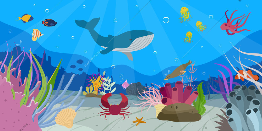 Beautiful underwater world scene with whale different fish crab starfish octopus seal flat vector illustration