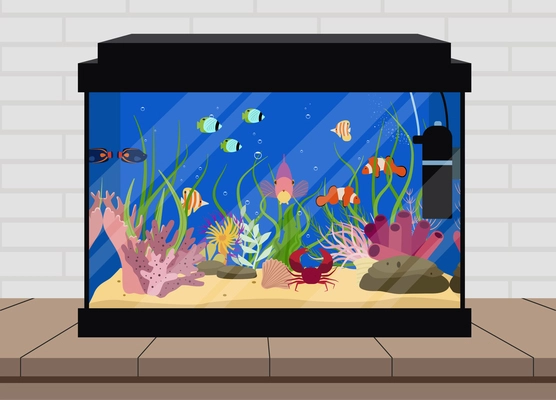 Aquarium with colorful fish crab and water plants flat vector illustration