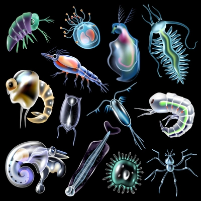 Plankton colored luminescent icons set in cartoon style on black background isolated vector illustration