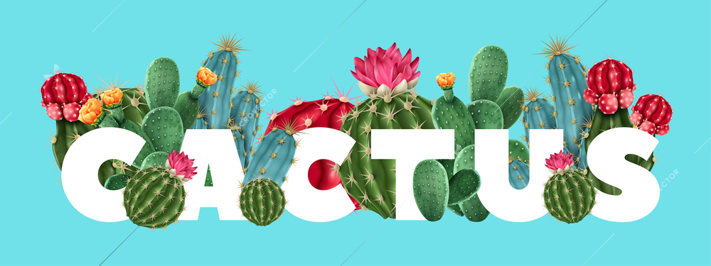 Cactus floral tropical vector illustration with different varieties of succulents and cacti including gymnocalycium and opuntia