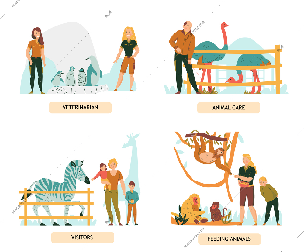 Set of 2x2 flat compositions with zoo visitors and people looking after animals isolated vector illustration