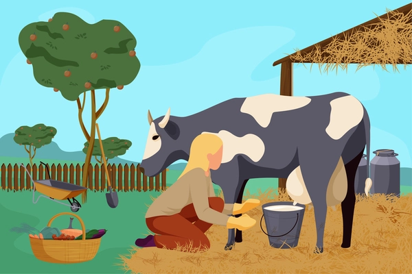 Organic farm flat composition with outdoor landscape apple garden and woman milking cow with gardening instruments vector illustration