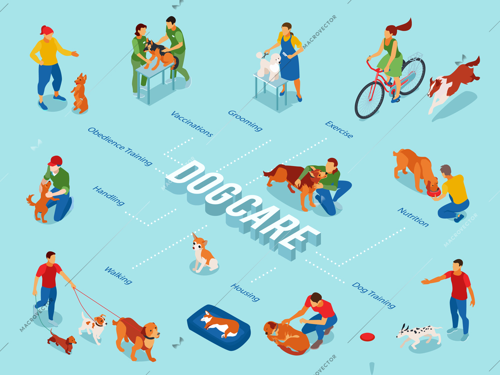 Dog care center isometric flowchart with puppy obedience training pets outdoor walking exercise grooming feeding vector illustration