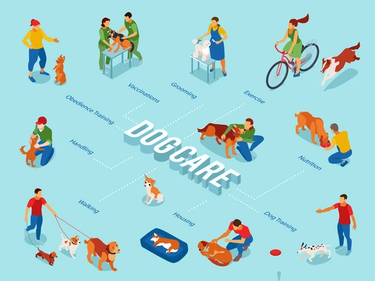 Dog care center isometric flowchart with puppy obedience training pets outdoor walking exercise grooming feeding vector illustration