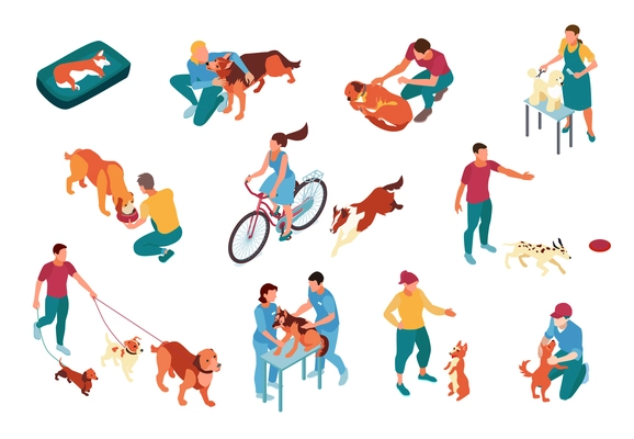 Dog sitters walking playing feeding grooming and examining pets isometric icons set isolated on white background 3d vector illustration