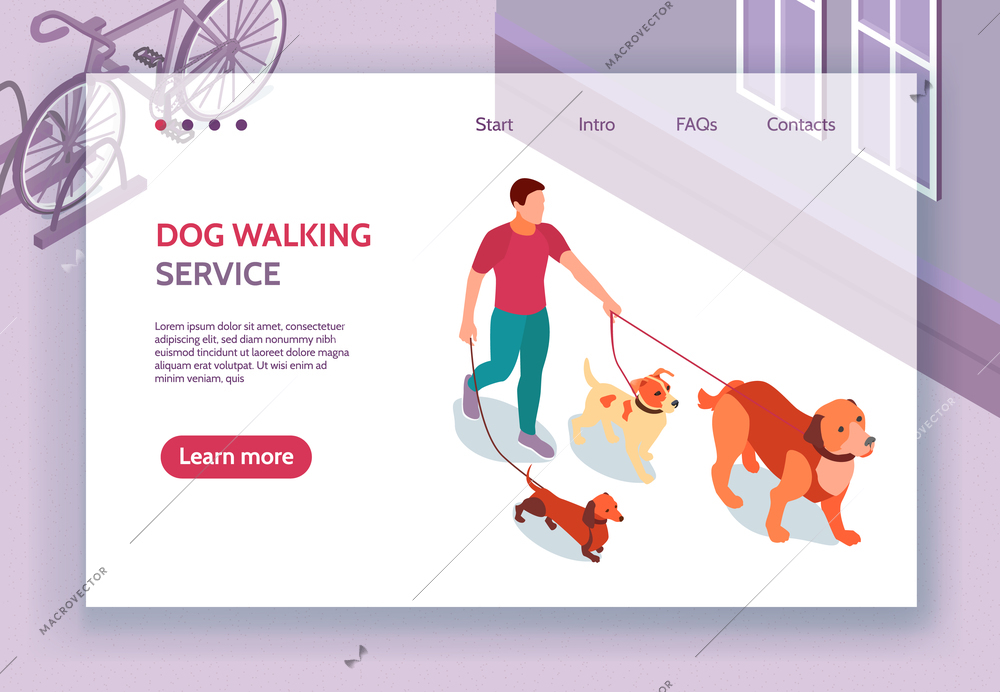 Dog walking service isometric web page banner with contacts info man holding 3 pets leashes vector illustration