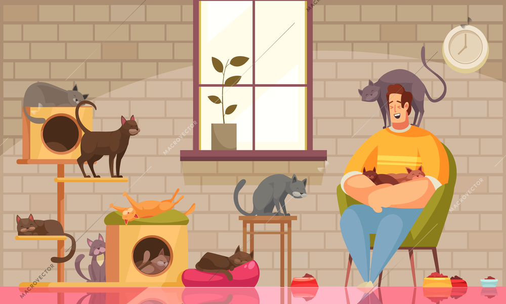 Pet sitter composition with living room scenery wall with window and cats with sitting human character vector illustration