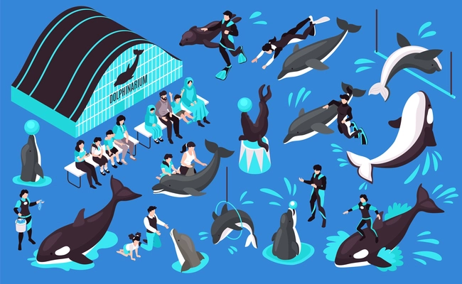 Dolphinarium isometric set of animal trainers dolphin orca performing in public and spectators isolated vector illustration