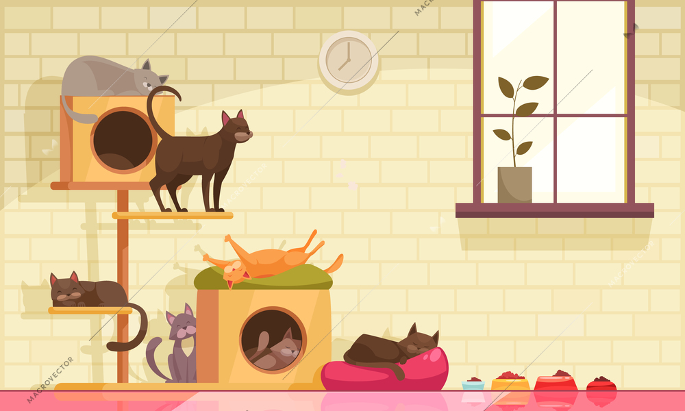 Pet sitter cats composition with indoor view of room with window and cats cradles with food vector illustration