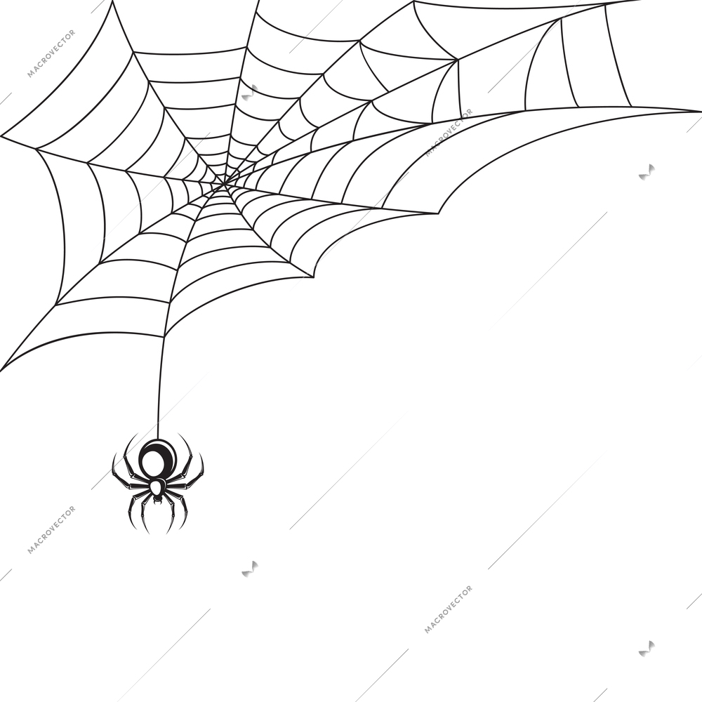 Poisonous spider web Halloween symbol wallpaper template vector illustration