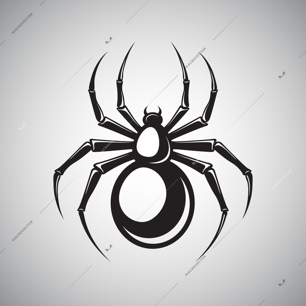 Black spooky spider silhouette insect isolated on white background emblem vector illustration