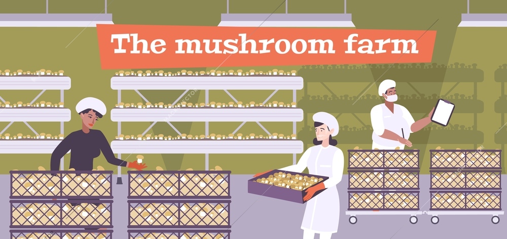 Mushrooms farm composition with indoor warehouse scenery and characters of people moving boxes filled with mushrooms vector illustration