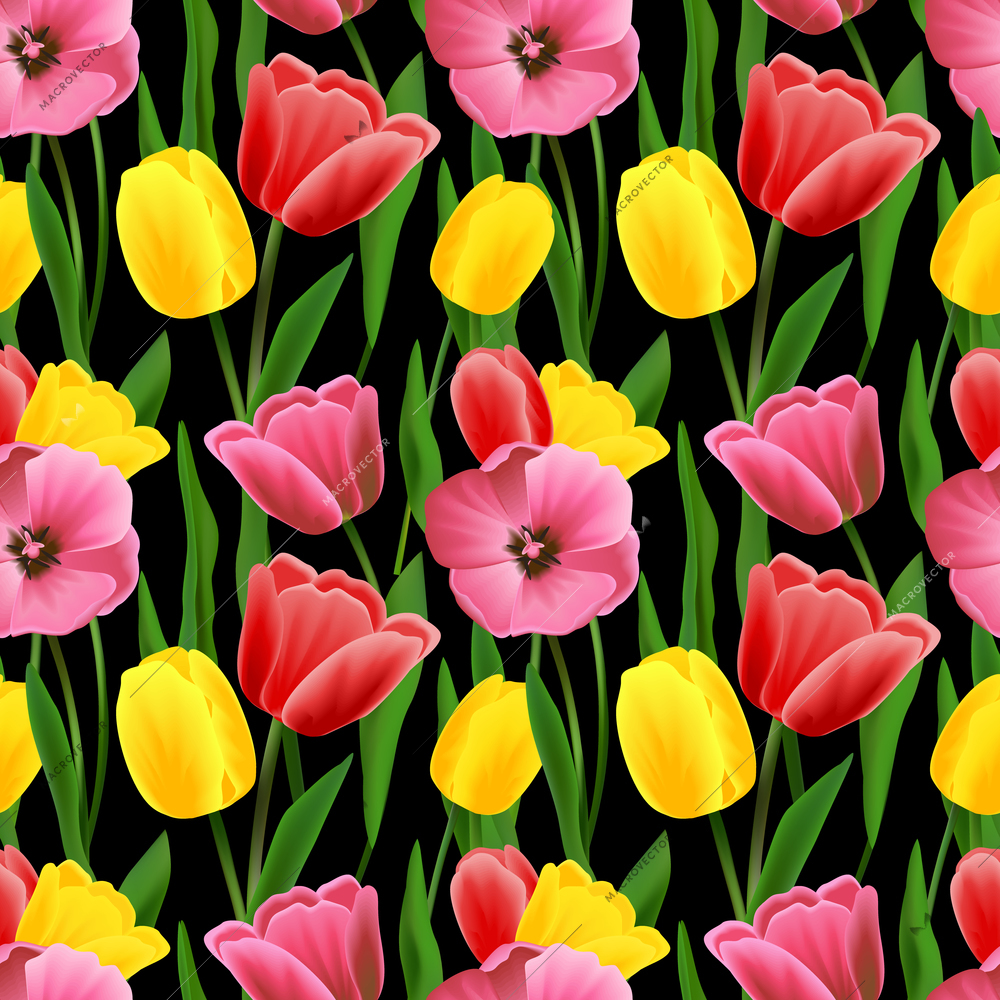 Decorative flower pattern colorful tulip bouquet black seamless background vector illustration.