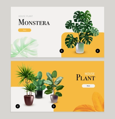 Houseplants horizontal banners with monstera cactus and other exotic plants in  flowerpots realistic vector illustration