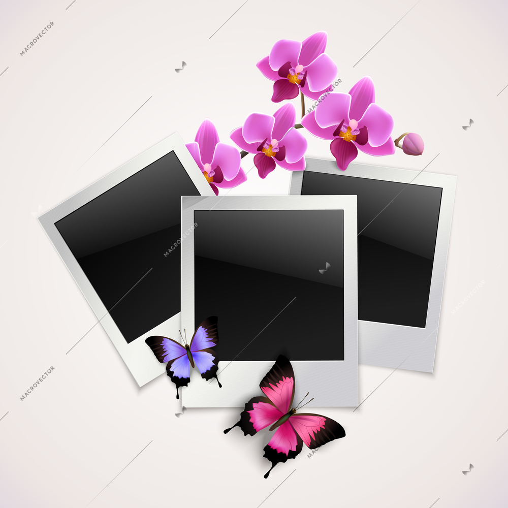 Vintage instant camera photo frames with butterflies and orchid flowers vector illustration.