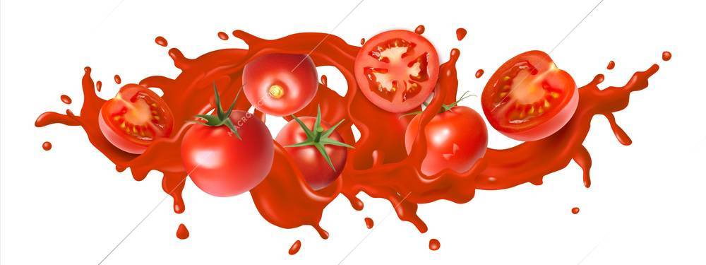 Tomato juice splashes whole and sliced vegetables on white background realistic vector illustration