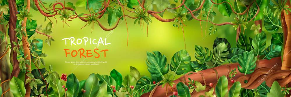 Realistic liana jungle horizontal poster with editable text and frame with exotic trees leaves and flowers vector illustration