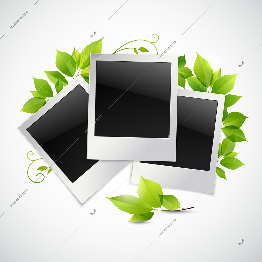 Vintage instant camera photo frames with green leaves vector illustration