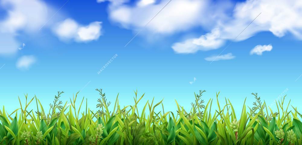 Green grass and blue sky with clouds background realistic vector illustration