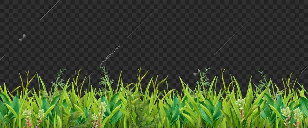 Realistic grass leaves shades of green plants foliage horizontal decorative seamless border pattern transparent background vector illustration