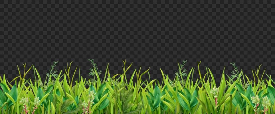 Realistic grass leaves shades of green plants foliage horizontal decorative seamless border pattern transparent background vector illustration