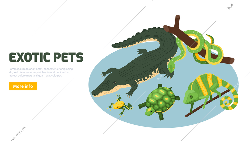 Exotic pets animals amphibian reptile online shop banner with alligator turtle chameleon isometric circular composition vector illustration