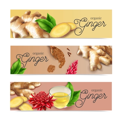 Organic ginger root spice flavor drinks food health benefits 3 realistic horizontal pastel background banners vector illustration