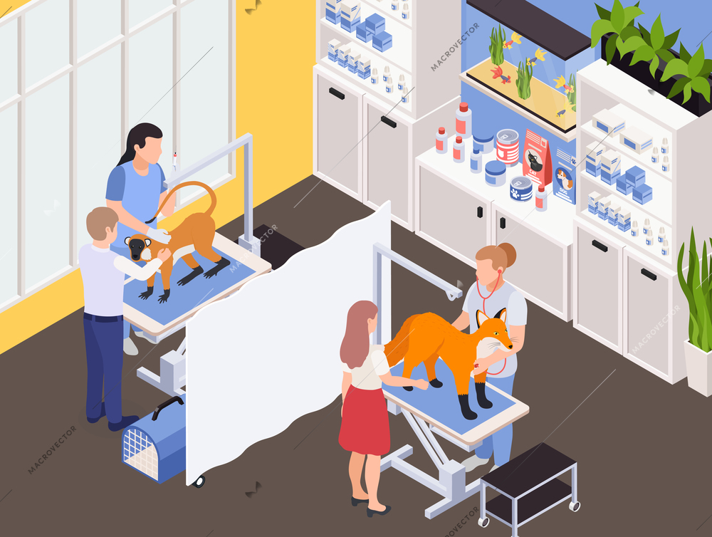 Wild animals exotic pets vet clinic interior isometric composition with veterinarians treating monkey and fox vector illustration