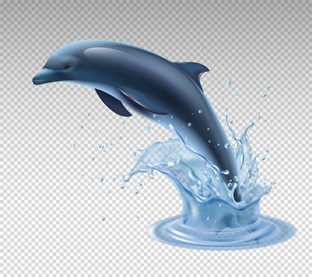 Jumping dolphin on transparent background realistic and colored icon with water splash vector illustration