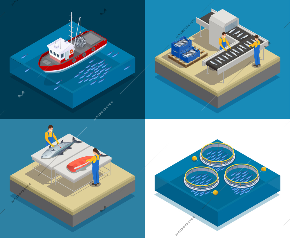 Fish industry seafood production isometric design concept with square compositions of put and take fishing filleting vector illustration