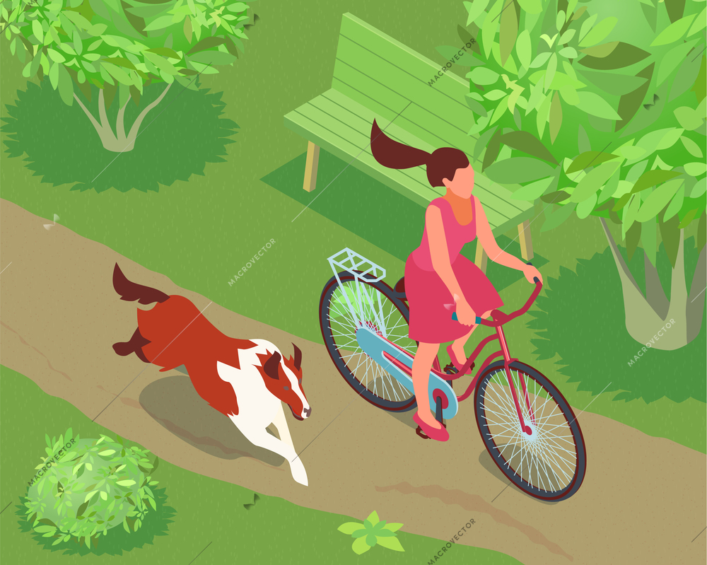 Woman riding bike in park and her dog running alongside 3d isometric vector illustration