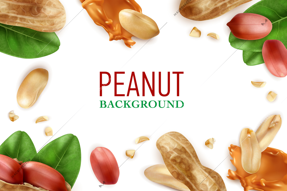 Peanut white background with frame of peeled nuts and nuts in  shell realistic vector illustration