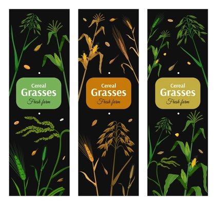 Cereal grasses vertical posters set with green and yellow images of eared plants on black background isolated vector illustration