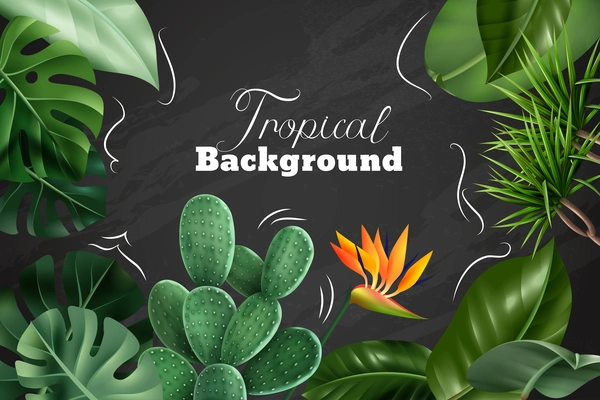 Colored tropical background with realistic images of  houseplants flowers and leaves on chalkboard vector illustration