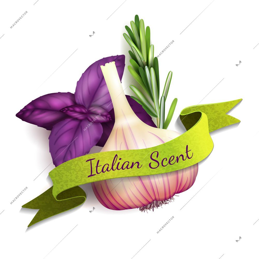 Realistic garlic rosemary and basil Italian scent kitchen ribbon badge vector illustration