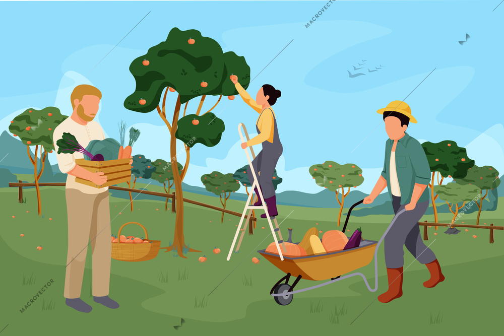 Organic farm composition with flat images and human characters with outdoor apple garden scenery with vegetables vector illustration