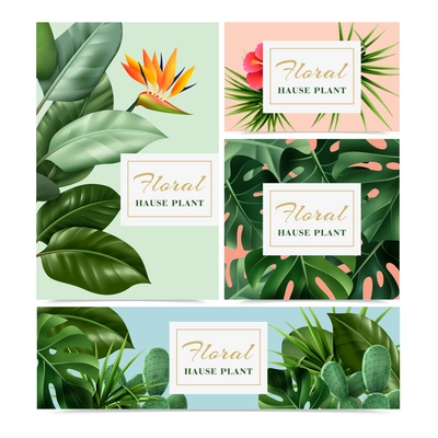 Exotic tropical houseplants 4 realistic advertising banners set with bird paradise flower hibiscus cacti monstera vector illustration