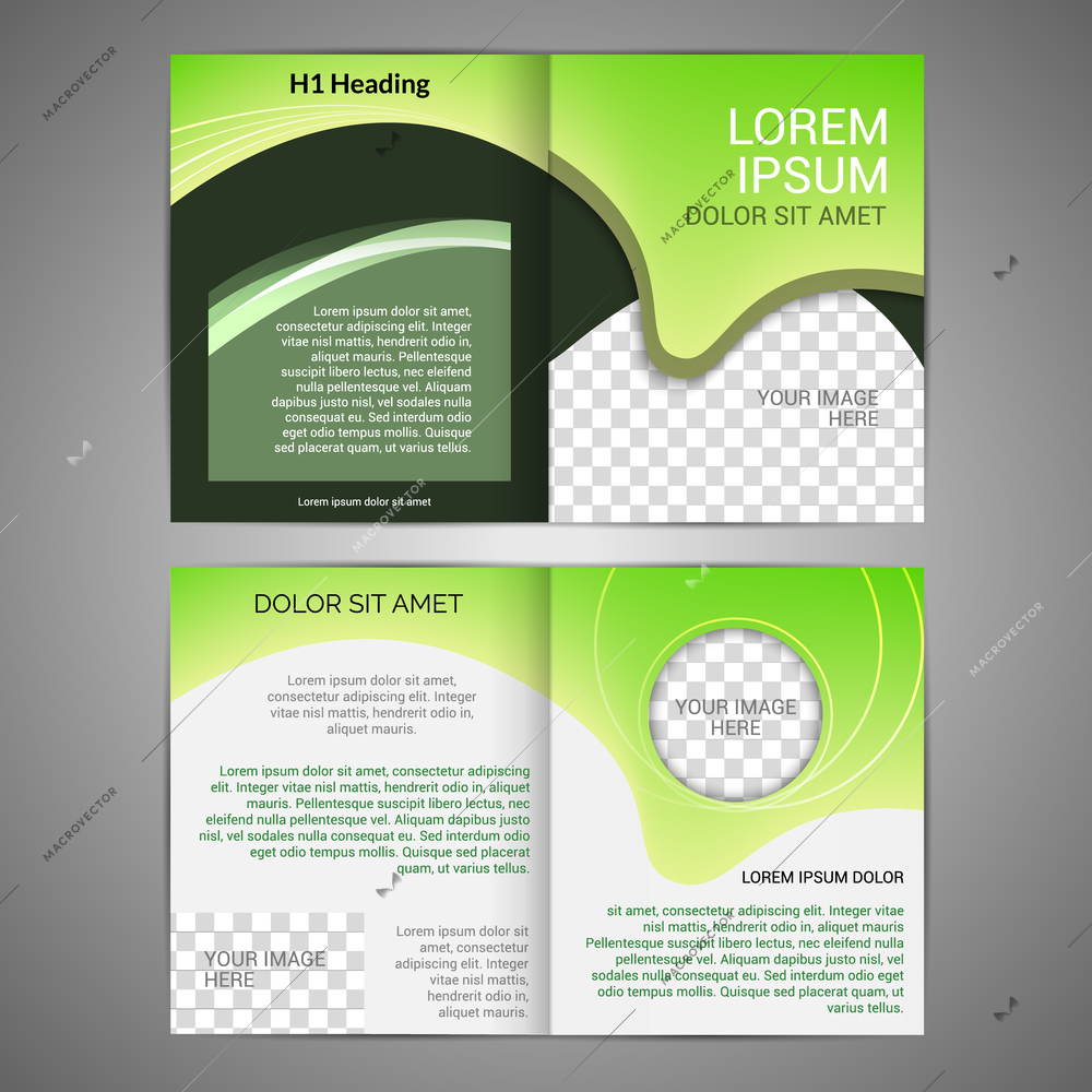 Green abstract design paper brochure leaflet design back and front template vector illustration