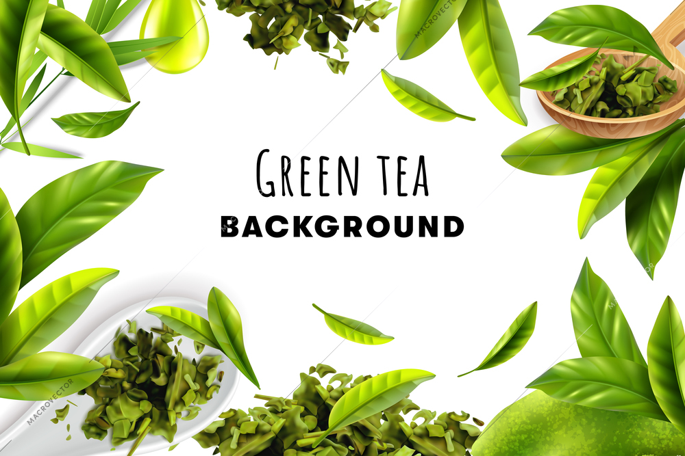 Green tea white background with herbal frame  of fresh leaves and piles of dry tea realistic vector illustration