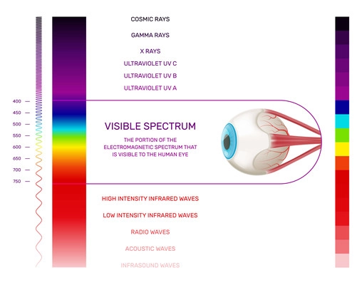 Prism light spectrum infographics with vertical color palette and human eye image with range and text vector illustration